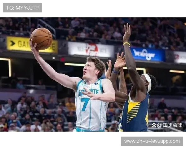 克尼佩尔新秀夜闪耀，黄蜂未来星辰初显